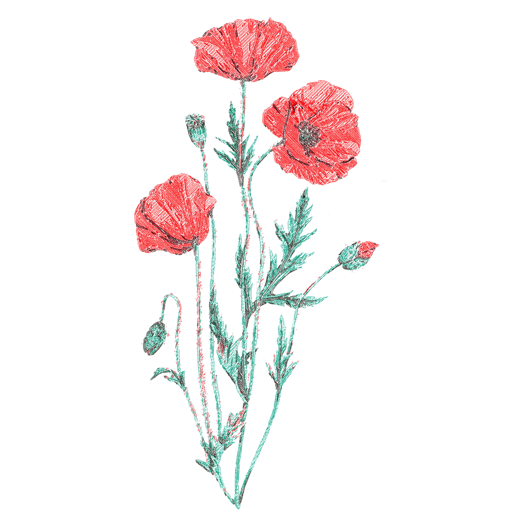 Aperçu du Plotter et de son logiciel de traitement d'image